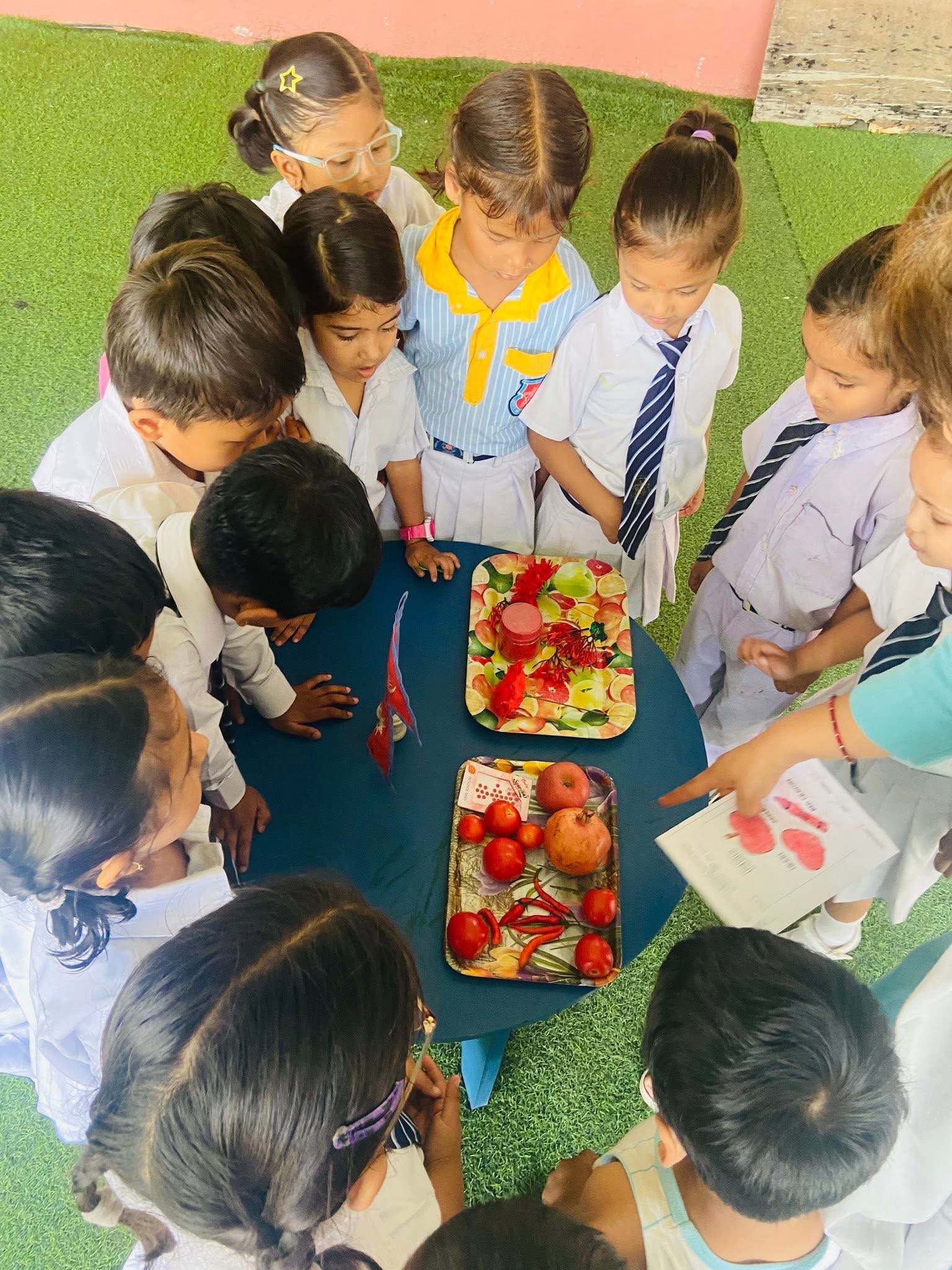 Pre-Primary Section 6